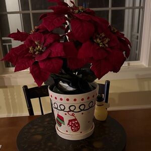 Festive Red Poinsettia in Holiday Pot